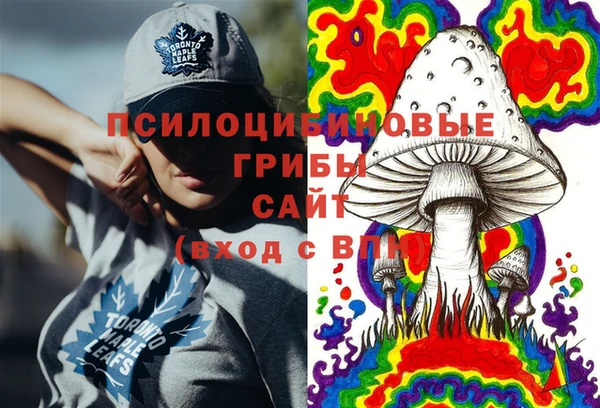 спайс Баксан