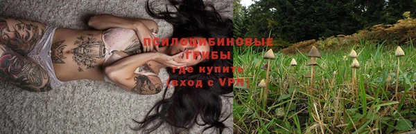 спайс Баксан